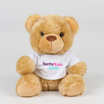 Techy Kids Group Teddy Thumbnail