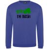 Pro sweatshirt Thumbnail